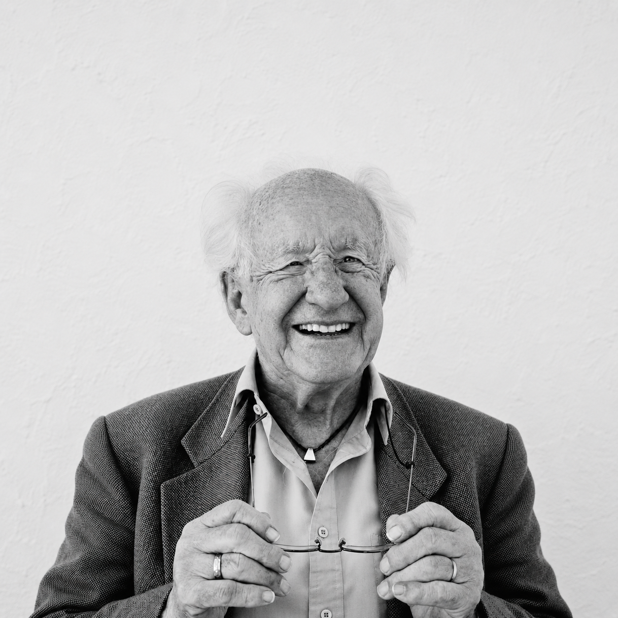 johangaltung