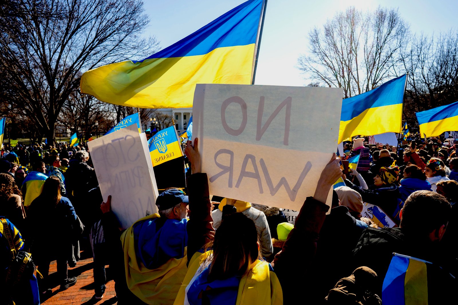 51908525944_fb330e7c03_k