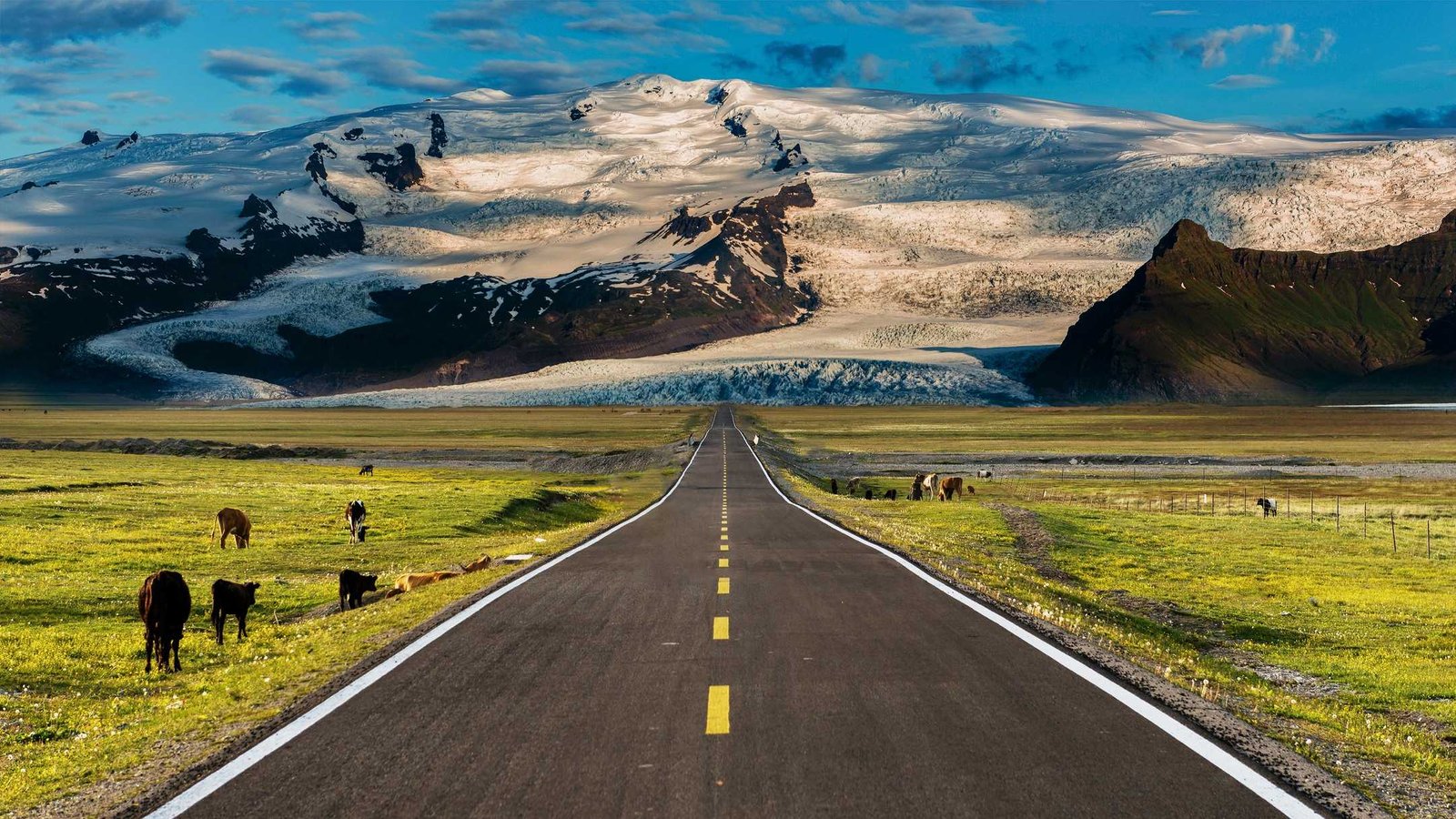 7a05858df1a84b29825f136779800e22