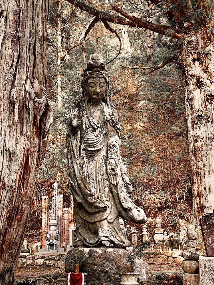 Koya-san_1_A3_1000-kopia