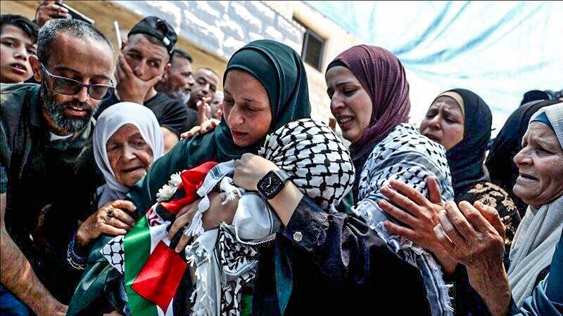 YqwljflXzAgyxov-800x450-noPad