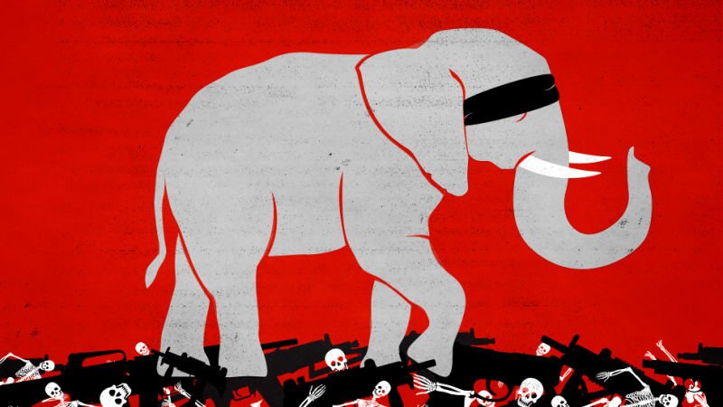 c_scalefl_progressiveq_80w_800