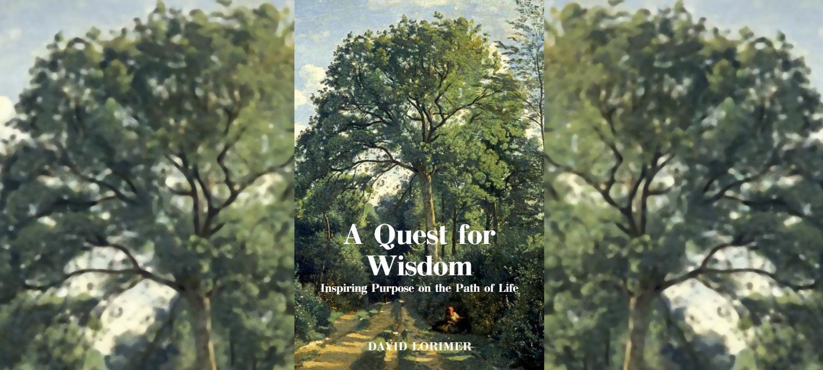 ed-curtin-quest-for-wisdom-review-banner-2000x900-1