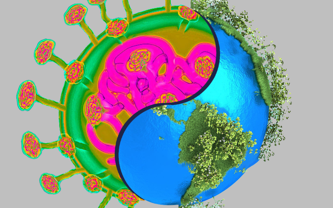 pic-from-ecohustler-1080x675-1