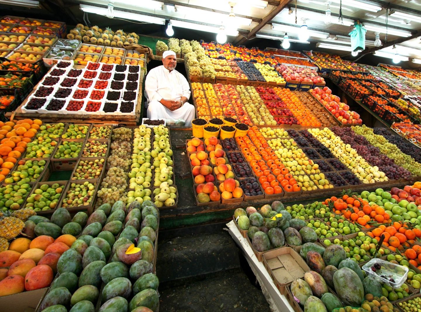 saltwater-crop-technology-food-security-1440x1067-1