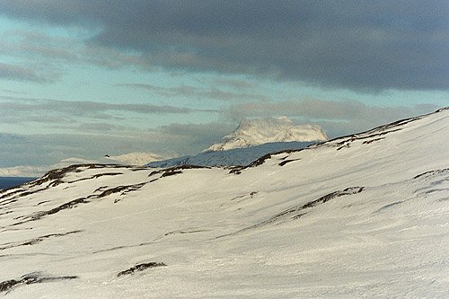Sermitsiaq, Greenland @ Gitte Arvegaard 2005
