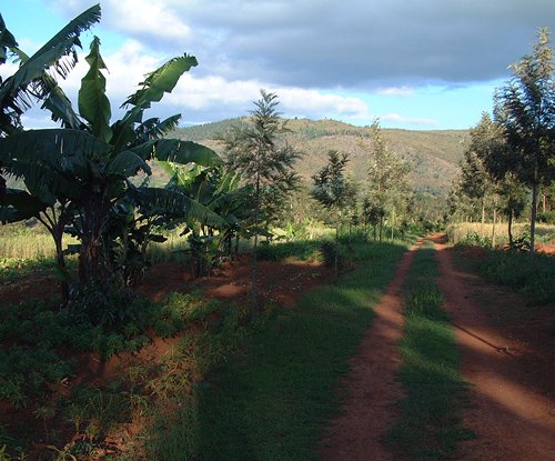 There are huge agricultural areas to make House of Peace self-sustaining Ruyigi, Burundi © 2006 Jan Oberg, TFF